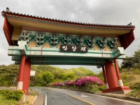 잘마른 박달재 참나무 캠핑장작 20kg : 박달재 장작