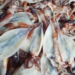 동광수산 오징어젓갈 450g  오징어무생채 450g : 동광수산