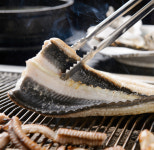 민물장어 장어 1kg 고창 자포니카 캠핑 : 장수풍천민물장어