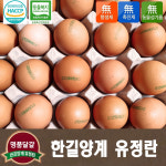 한길양계 동물복지 유정란 60구 친환경 무항생제 HACCP 축산물사육환경번호2번 : Newum뉴움