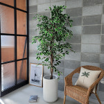 칼라 벤자민 ( 1M 90cm ) 조화나무/ 학교 도서관 사무실 인테리어조화나무 인조화분 : 어나더-그린