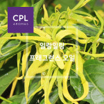 일랑일랑 프래그런스오일 20ml 500ml 영국 CPL 아로마 캔들 디퓨져 재료 : 프레시팜