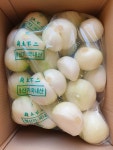 [냉장배송선택 깐양파10kg] 자주색양파 26년산 햇양파 경남창녕 국내산 : 열두고방