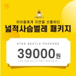 넓적 사슴벌레 키우기 패키지 : 대구곤충마트