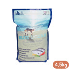 블루오션 캣 화이트앤살몬 그레인프리고양이사료 전연령묘 4.5kg : 작은동물원