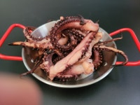 국내가공 직화구이 두툼한 오징어다리 가문어족 참맛찡어 오징어 600g : 속초오미자웰빙반건조건어물