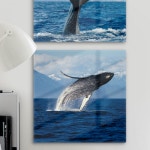 da209-폼아크릴액자38CmX38Cm_날으는혹등고래 : 샵원츄