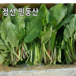 민둥산 정선곤드레 생곤드레 4kg 곤드레나물 산지직송 : 싱싱마루