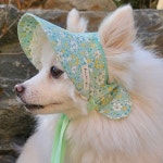 강아지모자 썬캡 민트 봄날 샤방캡 아소비진 : 꼴레트멍멍 스토어