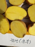 금왕감자 5kg : 실천농장