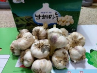 2026년 5월 수확 남해 양념마늘 3kg(대) : 남해농수산물직판장