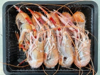 2023년 선동 딱새우 3-6월 시즌판매 1kg 왕 20미, 특대 28미, 대 40미 : 명천냉동수산