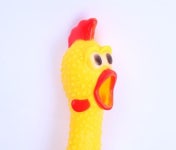 강아지 장난감 꼬꼬닭 애견 반려견 치킨 삑삑이 소리나는 소/중/대 : 클로이 NO.1