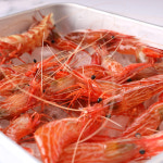 산지직송 활 독도 새우 닭새우 도화새우 꽃새우 300G : 열정농부