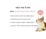 고양이 강아지 힐링브러쉬 포메라니안 비숑 푸들 말티즈 단모종 대형견 빗 : 댕냥펫-