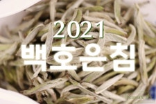 2021년 백호은침 (80g) 중국 복정 백차 첫물차 명정원 : 티메이트