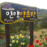 인양현미흑초(3년이상 발효숙성) 500mL : 인양양초장