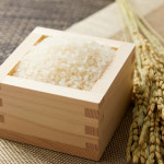 25년산 햅쌀 농협 유기농 쌀 20kg 상등급 단일품종 당일도정 이유식 백미 농부와 우렁이 : 파인드네이처