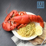 항공직송 활 랍스터 랍스타 바닷가재 500g 700g 1kg 등 다양한 사이즈 : 훈훈수산