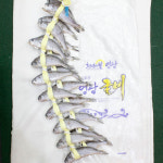 [부천시 배달] 살살 녹는 영광굴비 1.7kg 20미 [역곡상상 팔도특산물] : 동네시장 장보기