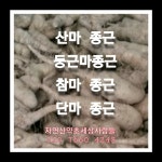 산마종근 4 k : 자연산약초세상사람들