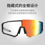 고양이 편광 변색 자외선차단 선글라스 자전거 등산 낚시 : 하나실업