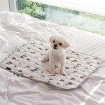 [1013PROJECT] 강아지 고양이 인견 쿨매트 쿨패드 여름 방석 : 1013프로젝트