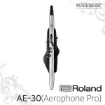 롤랜드 전자 색소폰 Aerophone Pro AE-30 에어로폰 프로 AE30 ROLAND : 주식회사 피스뮤직