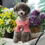 토토앤로이 구름 카라 티셔츠 핑크(M066) 강아지티셔츠 강아지봄옷 강아지여름옷 애견의류 애견옷 강아지옷 : 로얄펫샵