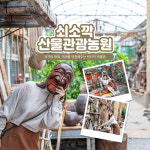 제주 쇠소깍 산물 관광농원 / 제주도 감귤체험 서귀포 가볼만한곳 이색 관광지 볼거리 : WEPICK