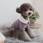 토토앤로이 리오키 카라 티셔츠 바이올렛(L004) 강아지티셔츠 강아지옷 강아지봄옷 강아지여름옷 애견옷 애견의류 : 로얄펫샵