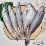 민어조기 3P 4P 영상가이석태 뾰족조기 뾰조기 쪼삣조기 반건조 손질생선 제사용 제수용 : 성호상회