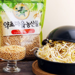 24년산 국산 토종 햇콩나물콩600g : 증안리약초마을