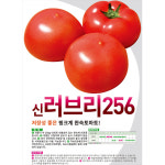 [가든팜] 토마토씨앗 - 신 러브리256(20립) : 가든팜