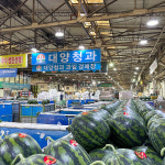 상큼함 가득 노랑 대추방울토마토 1kg : 정겨운농산