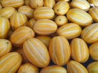 성주 참외 5kg 10kg 선물세트 가정용 못난이 꼬마 5키로 10키로 참외 농장 택배 : 향토박이