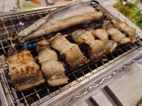 (완도푸른바다) 어부가 직접 잡아서 산지직송 완도 반건조장어,생물급냉 바다장어 : 완도푸른바다