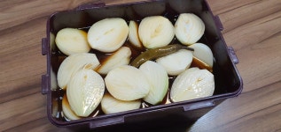 간편한 한끼 반찬 양파장아찌 500g, 1kg : 지리산들꽃다물농장