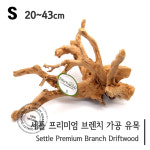 세틀 프리미엄 브런치 가공 유목 S : 파충류샵 밀림펫