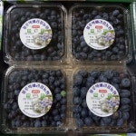 친환경 무농약 블루베리 특품 100g, 250g, 500g 포장 - 1Kg : 블루박베리정농장
