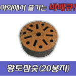 NTC 황토참숯(20봉지)한박스 : 파급효과