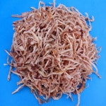 죽도시장 과메기도로의 청하건어물 국산참진미오징어 : 청하건어물백화점