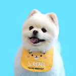 메세지 케이프 넥카라 간식금지 노터치 강아지 고양이 애견 악세서리 대형견 소형 턱받이 : 모모스페이스