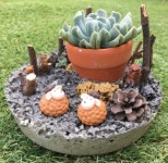 도우아트교육용키트 - 단체용  #원예키트#환경교육#최소단위 20개 (식물은 포함되지 않습니다) : 아트앤가드닝