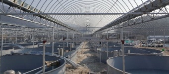 국내산 양식 전라북도 고창 풍천 자포니카 손질 민물장어 원기회복 몸보신 보양식 스테미너 : 지니수산 마켓