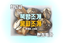 웅피조개 (북방대합, 1kg 7미 내외) : 앤케이스토어