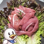 한결컴퍼니 생 오리안심 2kg 냉동 손질 오리가슴살 안심살 수제간식재료 오리고기 : 오덕이와 오닥이네