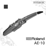 롤랜드 전자색소폰 에어로폰 AE-10 가정용 연습용 휴대용 입문용 AE10 ROLAND : 주식회사 피스뮤직