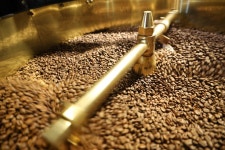 [서울 강남] SCA 커피 로스팅 초급+중급 국제 자격증 과정 (SCA Roasting Foundation+Intermediate) (소수정예) : 커피바이