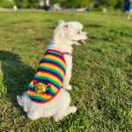 아노아노 꾸러기나시 레인보우컬러 : 아노아노